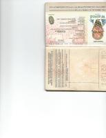 Nqobizitha's Passport.pdf