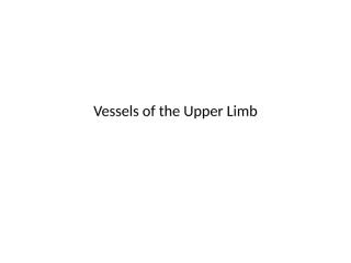 Vessels of the Upper Limb.pptx